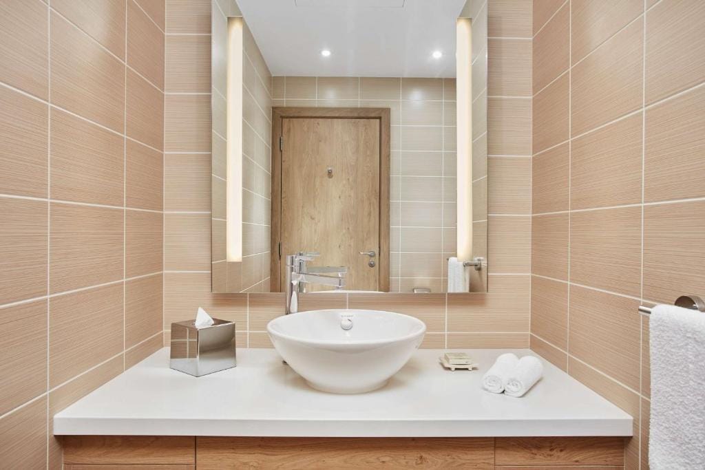 Hilton Garden Inn Dubai, Mall Avenue — 3